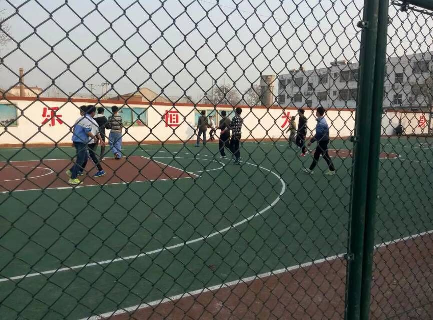 學(xué)校球場圍網(wǎng)